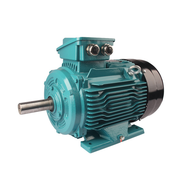 FL4(IE4) series premium efficiency three phase asynchronous AC motor